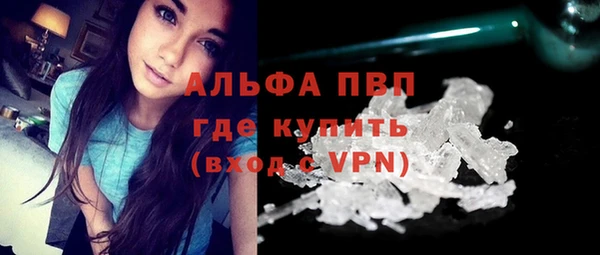 молекула духа Заволжье