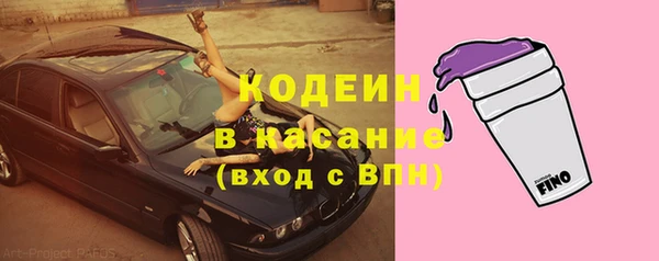 молекула духа Заволжье